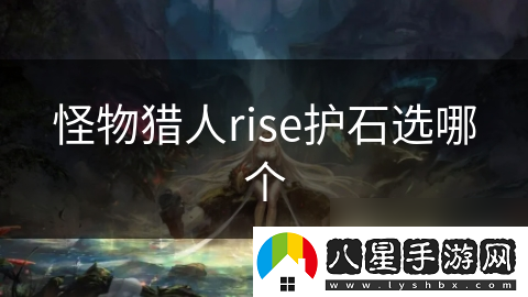 怪物獵人rise護(hù)石選哪個(gè)