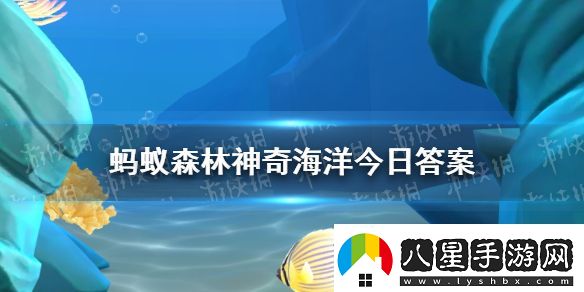 豪豬魚是什么東西螞蟻森林神奇海洋今日答案1.12最新