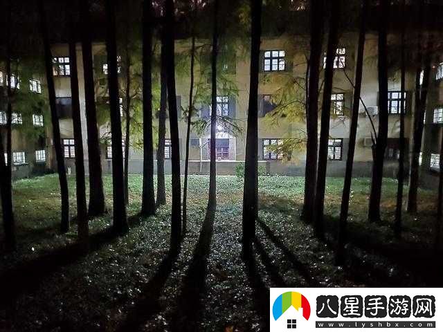 學(xué)校后山小樹林夏天晚上的美好時(shí)光