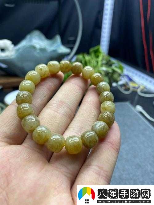 楊大壯和田桂花第二十九奇遇精彩繼續(xù)