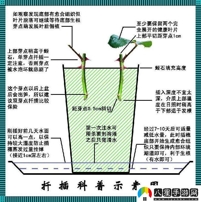 45分鐘狂想曲