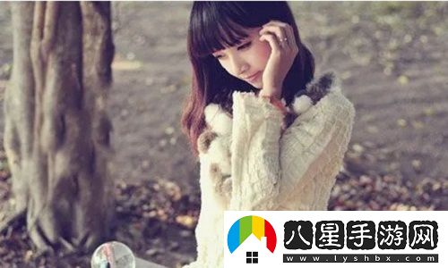 免費(fèi)的行情網(wǎng)站APP入口