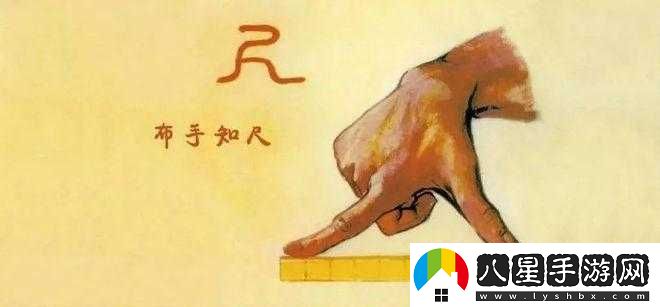 一只手剛好握住算大還是小的標(biāo)準(zhǔn)界定