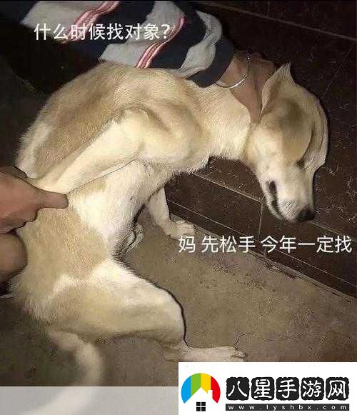 啊哈哈哈哈主人我錯(cuò)了