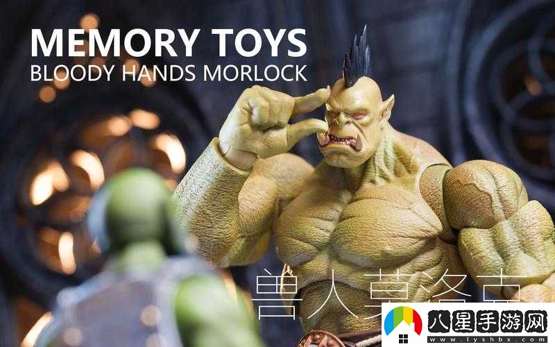 MEMORYTOYS