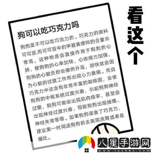 巧克力可以喂給狗吃嗎