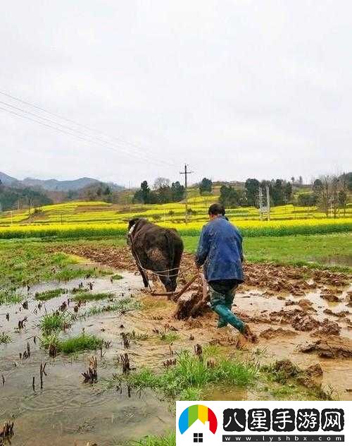 耕種媽**田