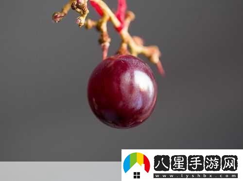 對(duì)著鏡子把葡萄一粒粒