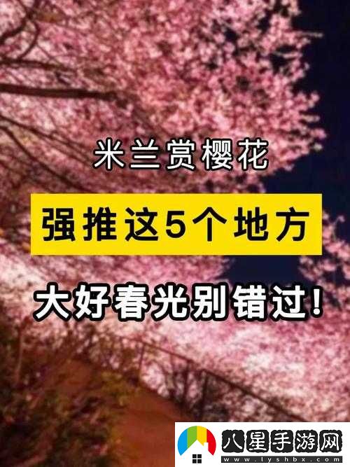 我們換個地方做櫻花是什么歌