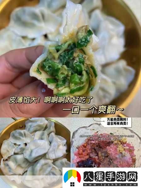 肉上癮了怎么辦肉餡小水餃