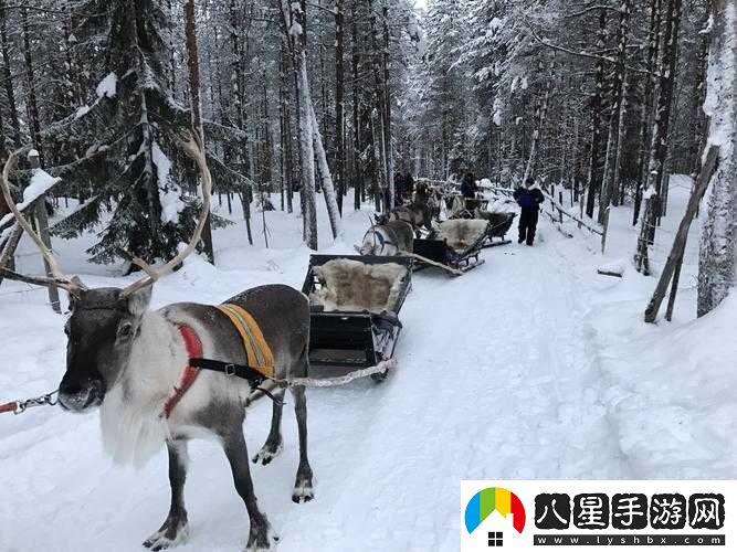 尋找冰原守衛(wèi)者拉雪橇的麋鹿