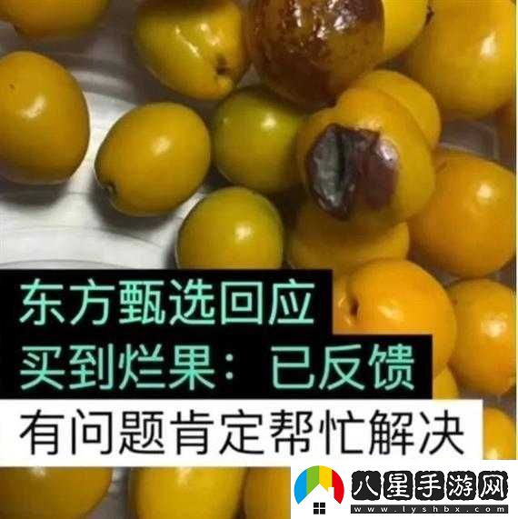 桃子移植像素侵犯后果嚴(yán)重