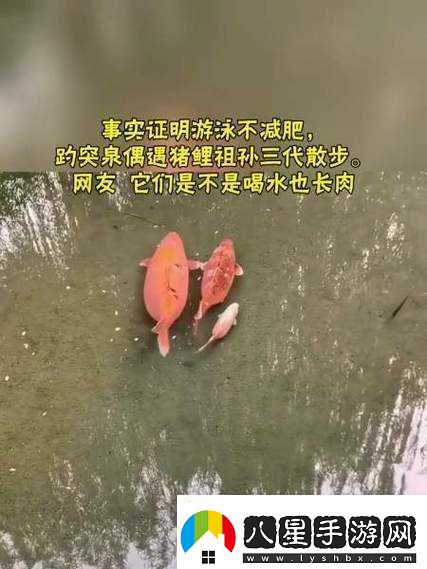 女人鯉魚喝水圖解大全之詳細(xì)解析