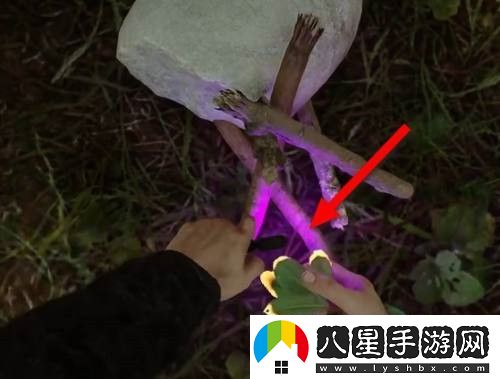 森林之子怎么燒水喝-森林之子燒水喝攻略