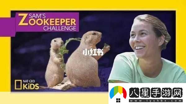 ZOOKEEPER另類探索Zookeeper的獨特應用與挑戰(zhàn)