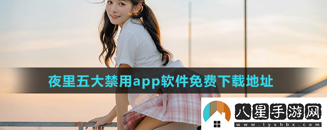 探索“100種夜里禁用app軟件”