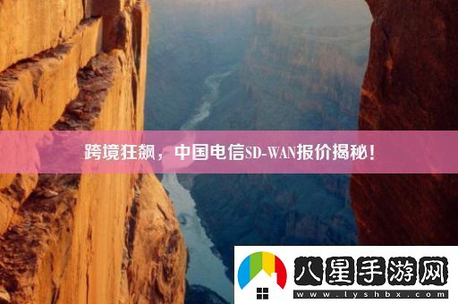 跨境狂飆中國(guó)電信SDWAN報(bào)價(jià)揭秘！