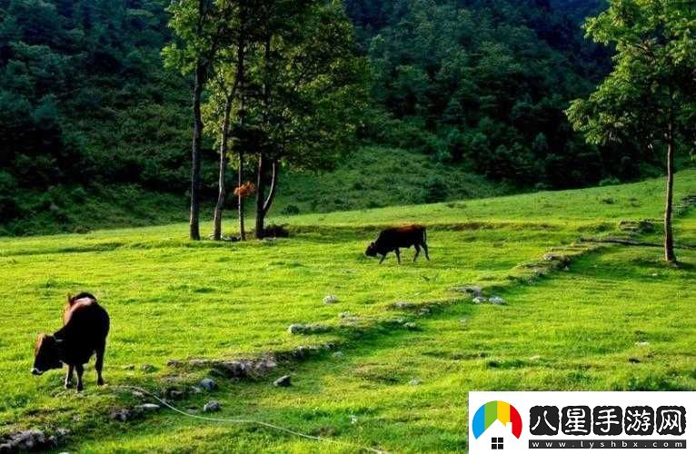 伊春園一路二路三路入口