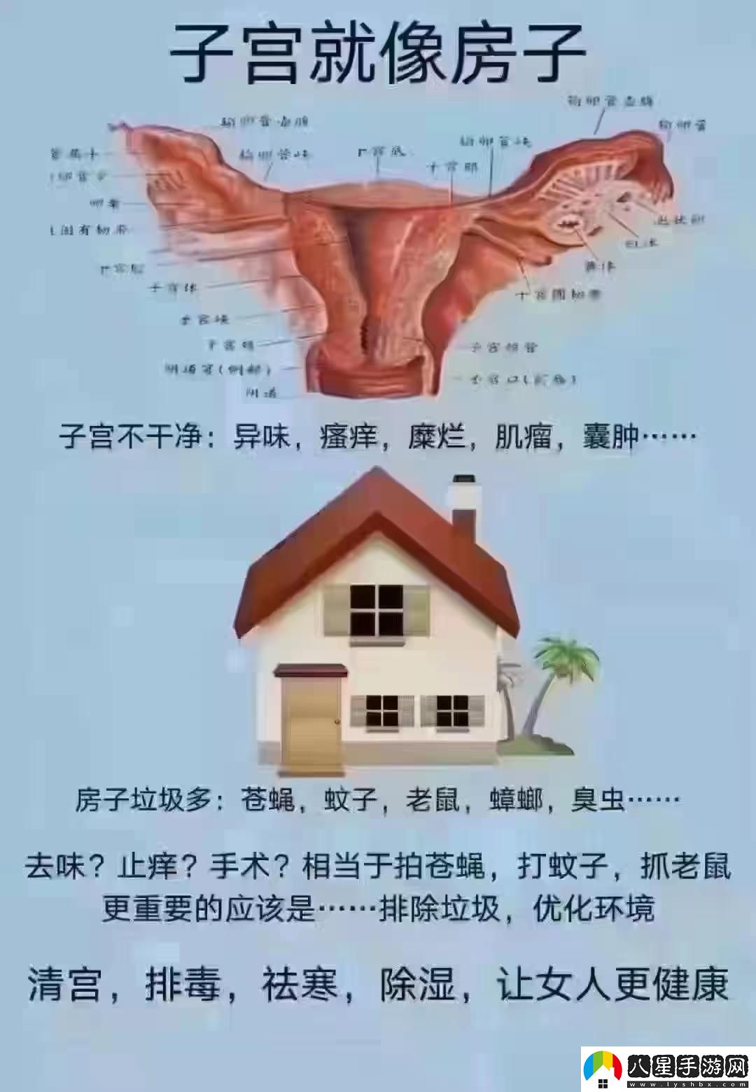 女性的秘密花園飄出銀絲謎團