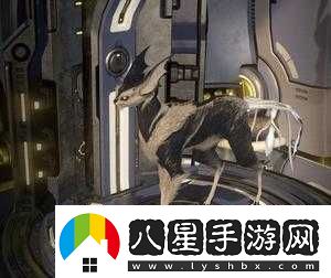 Warframe庫(kù)娃與星際戰(zhàn)甲的貓