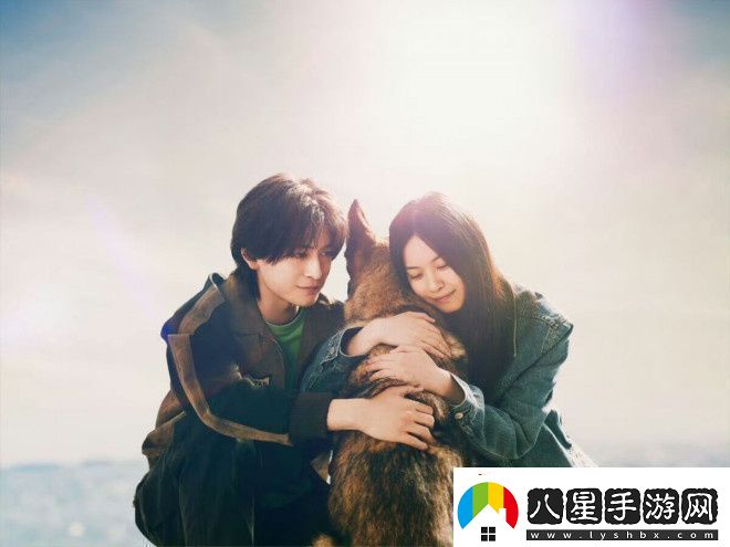 少年與犬預(yù)告首發(fā)高橋文哉主演直木獎力作