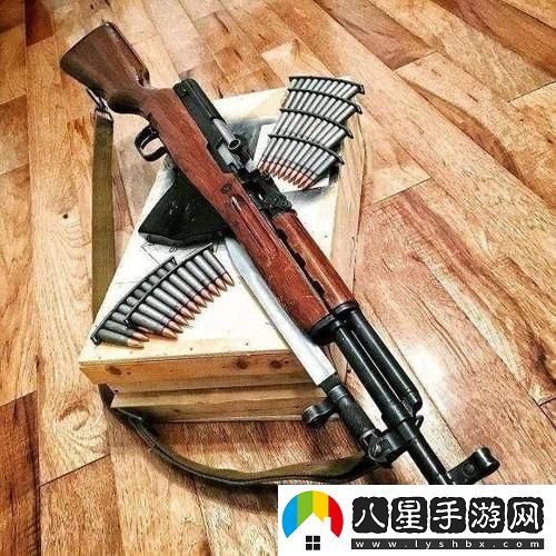 “朝鮮家伙的火器秀