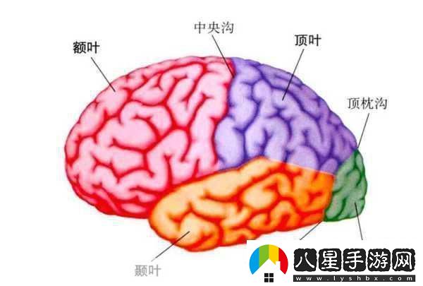 分裂之門2震撼來襲