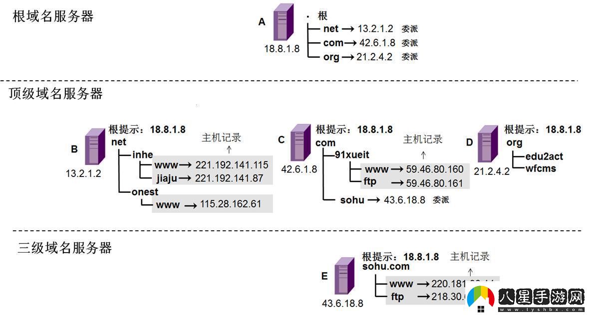 “域名定向舞”