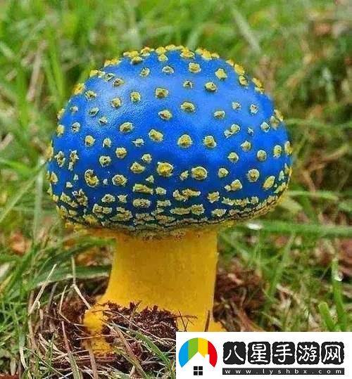 蘑菇mogula笑不活了科技圈新晉“網(wǎng)紅”的這點(diǎn)事！