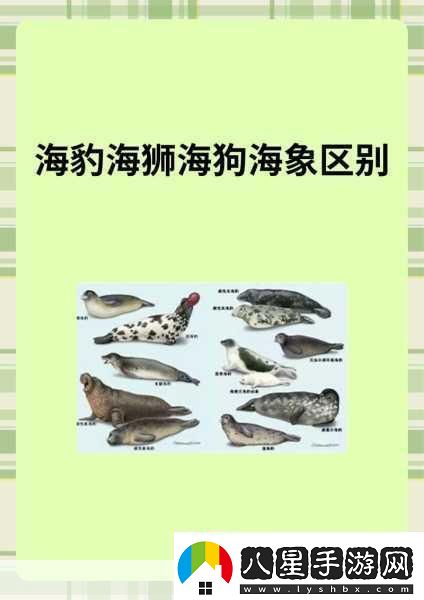 AAAA級毛皮最火的一句透露了中文社區(qū)開放信息深度解析AAAA級毛皮在中文社區(qū)的熱潮與趨勢