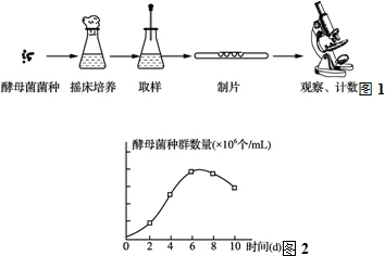 伽羅躺床被C出乳白液體