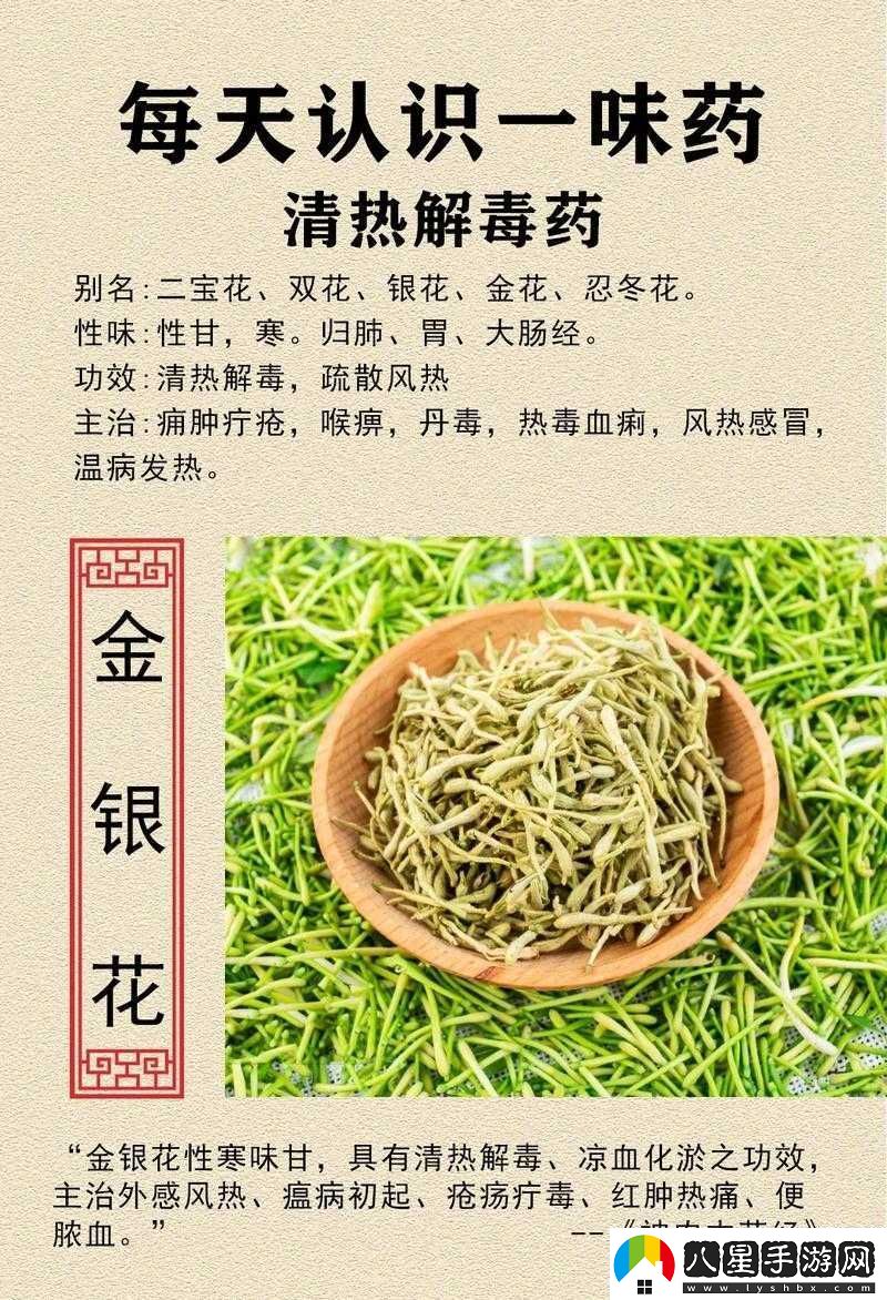 雙管齊下金銀花