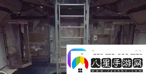 星空起居艙建造哪種好