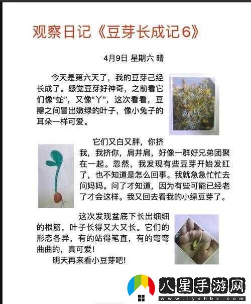 那顆小豆豆的成長歷程與難忘故事