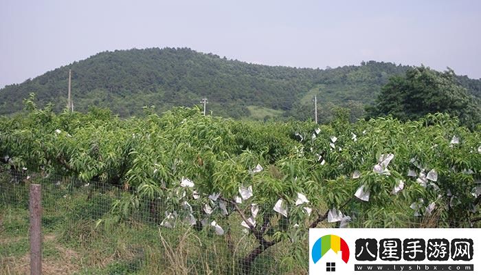 “嶺風(fēng)”來(lái)襲日本水蜜桃笑傲游戲解說(shuō)界??！