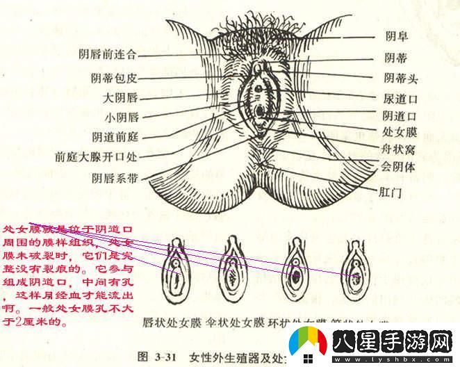 “大”不是問(wèn)題