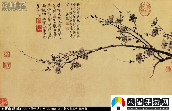 科技江湖驚現(xiàn)奇聞！‘老槍不倒’梅花先生引發(fā)網(wǎng)友狂潮