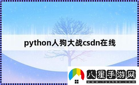 Py沖撞CSDN