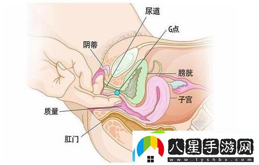 探索大蔭蒂BBBBBB大蔭蒂的奇妙世界